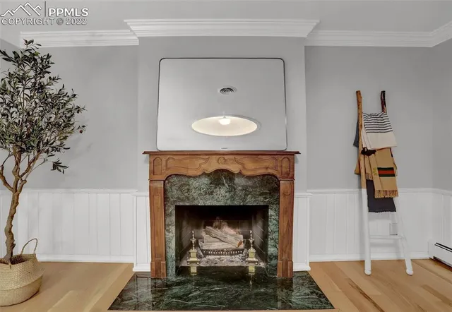 a living room with a fireplace and a potted plant