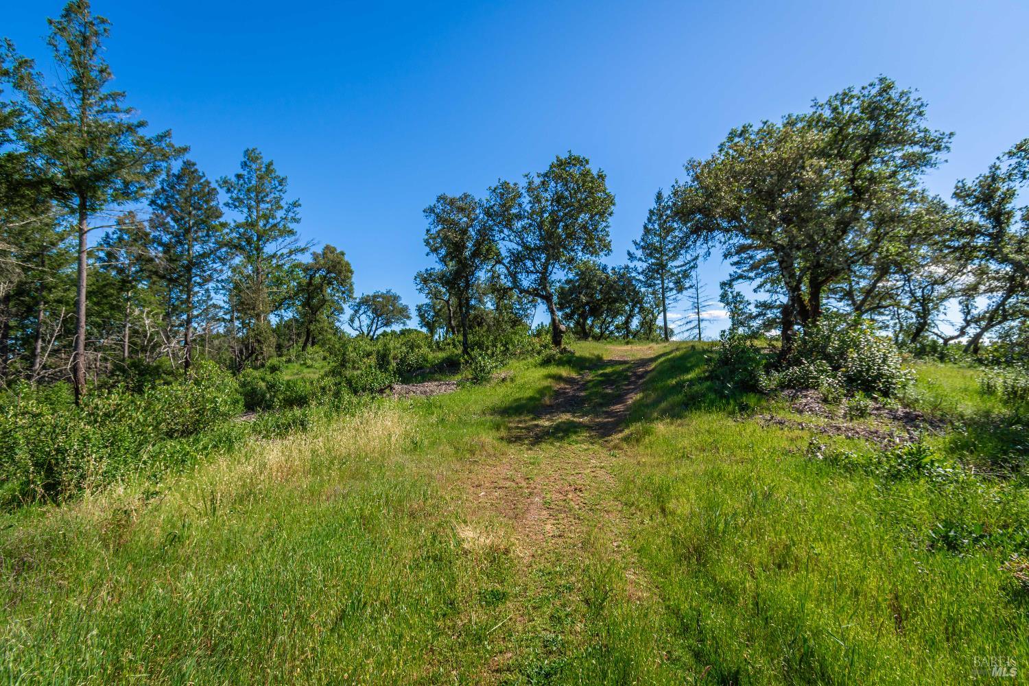 0 Dry Creek Road Napa, CA 94558 - Photo 78 of 98