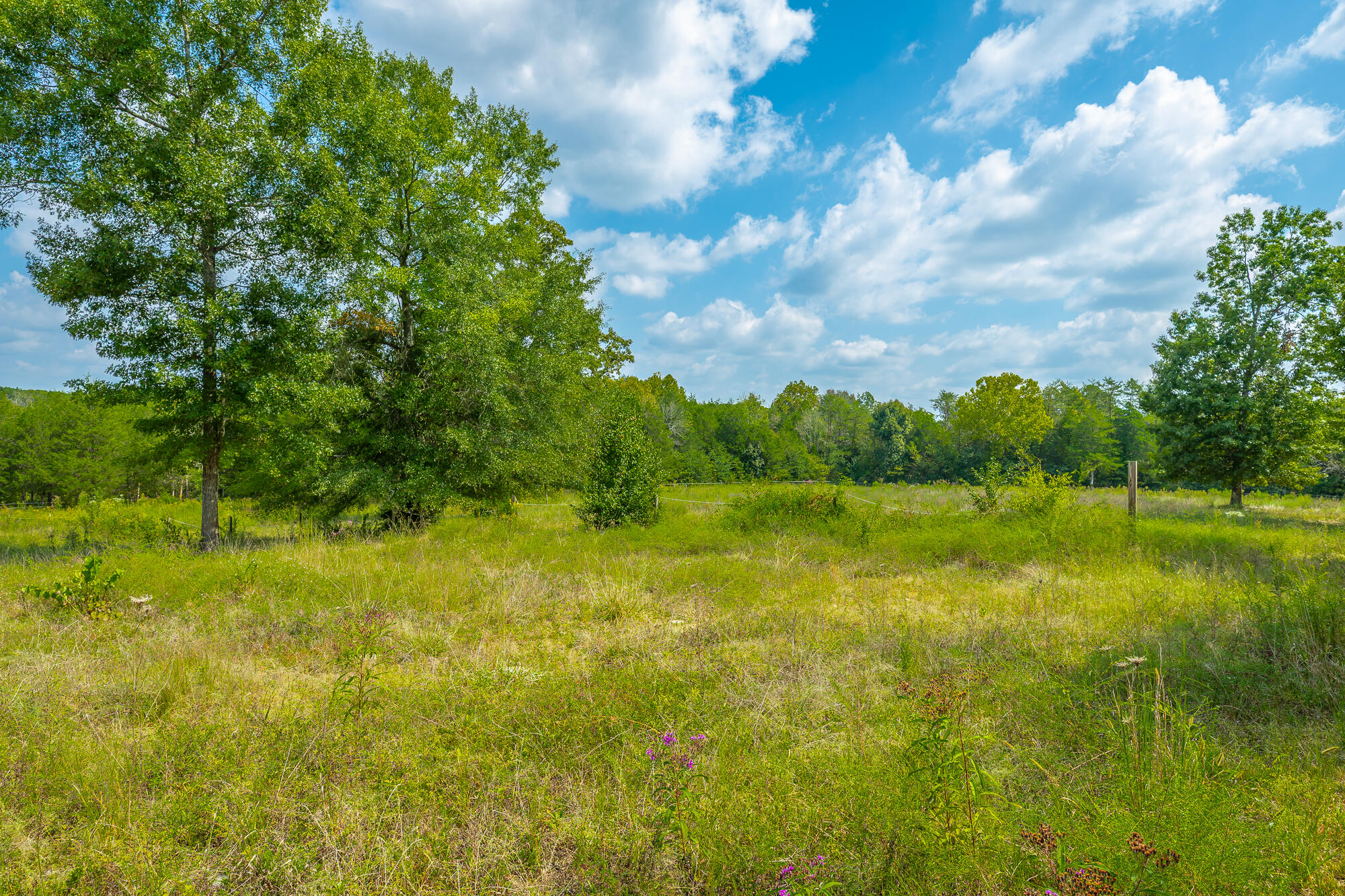 380 Camp Road Chickamauga, GA 30707 - Photo 33 of 52 380 Camp Road HD-144