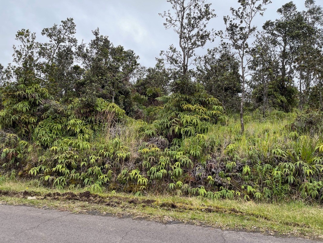 Alii Koa Street Hilo, HI 96720 - Photo 1 of 4 a view of a yard
