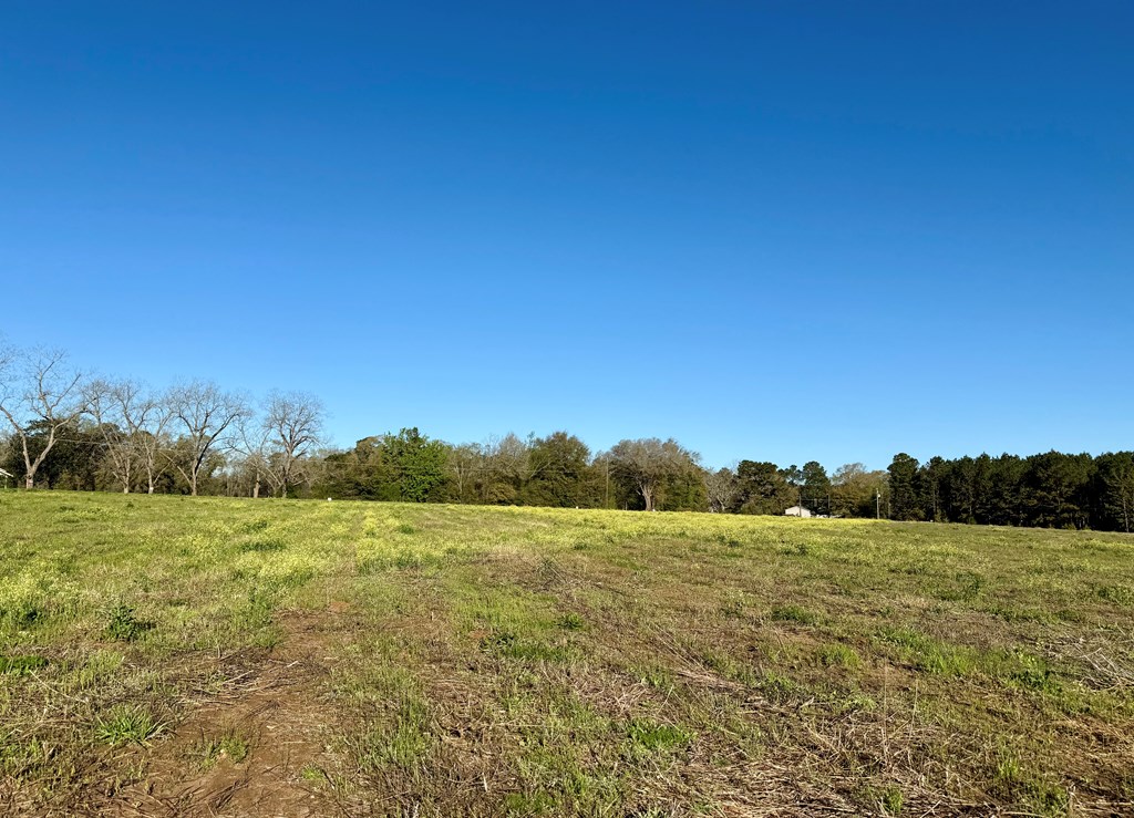 3.42-acres Omussee Road Cowarts, AL 36321 - Photo 8 of 13