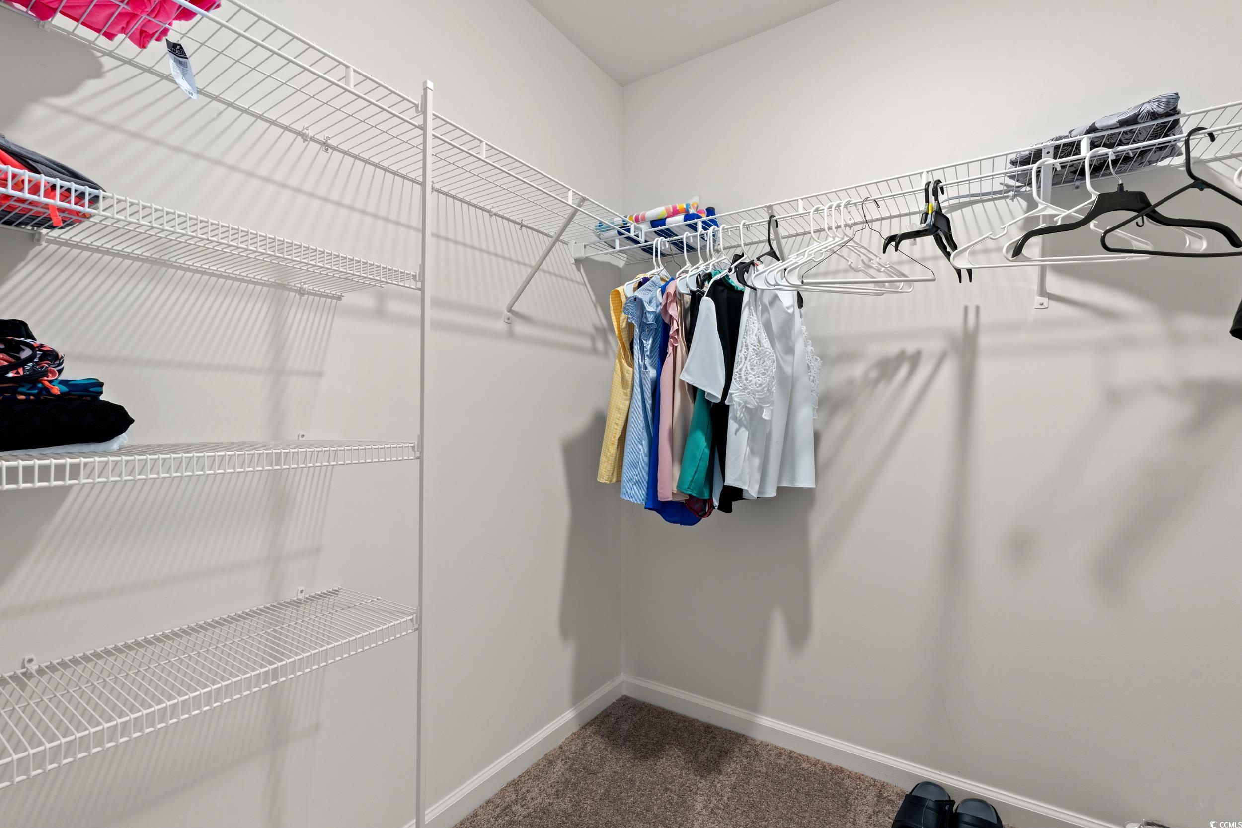 514 Strawberry Field Way Galivants Ferry, SC 29544 - Photo 12 of 37 Walk in closet featuring dark carpet