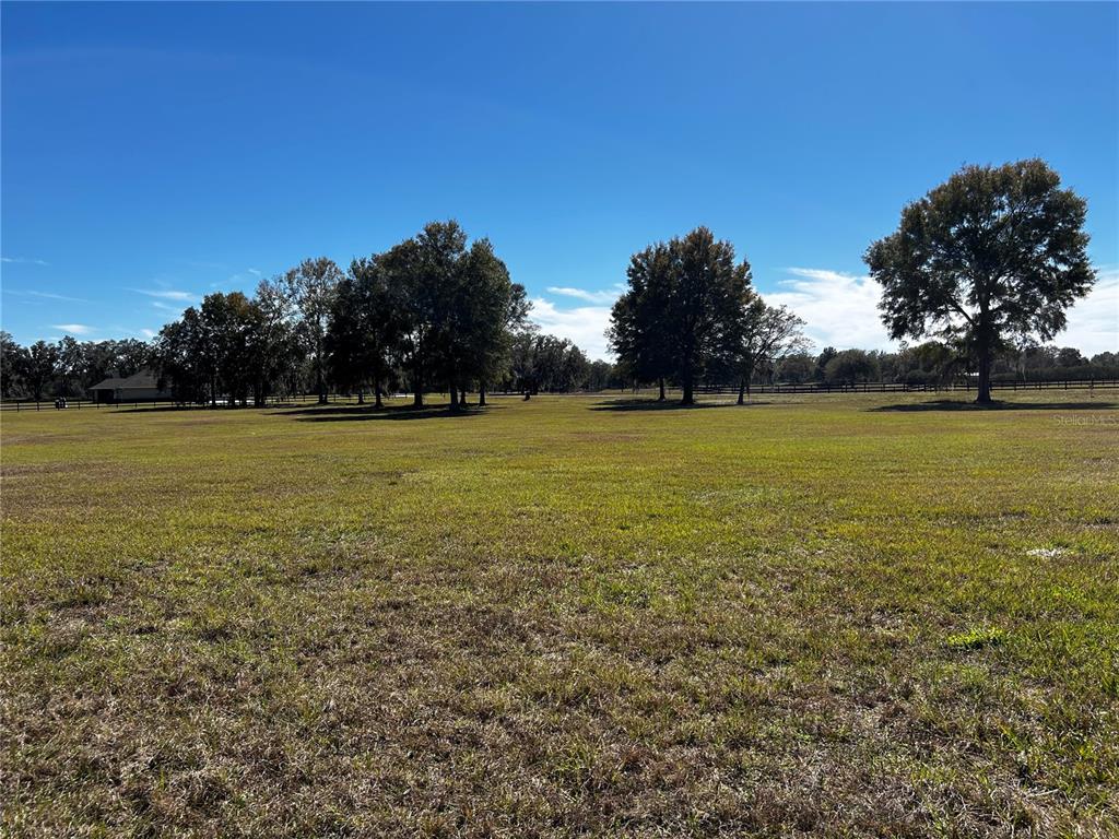 0 Northwest 464b Morriston, FL 32668 - Photo 11 of 20