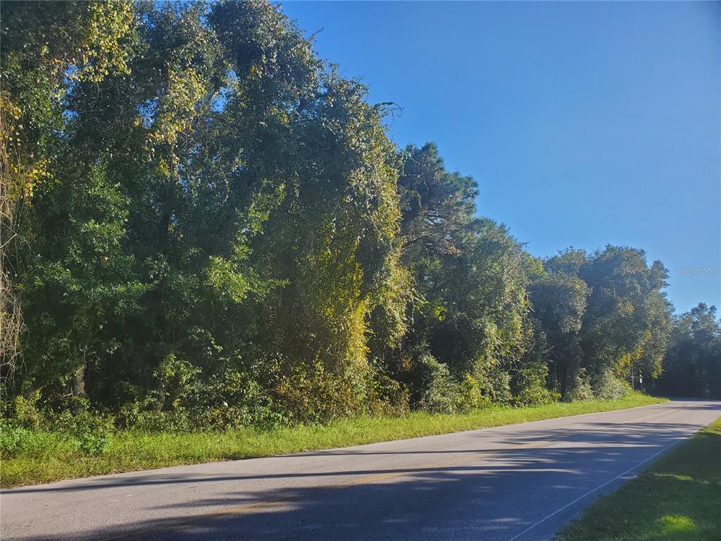 24 Key Lime Drive New Port Richey, FL 34654 - Photo 1 of 1 Gallery Image 1