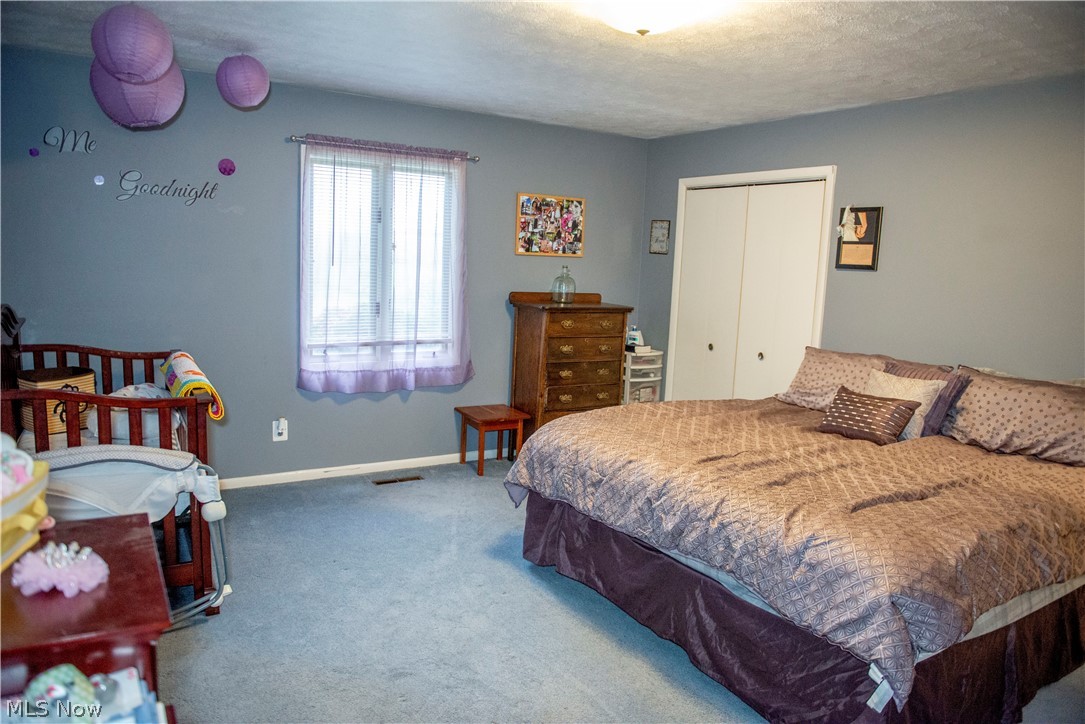 9800 Ziegler Road Hanoverton, OH 44423 - Photo 10 of 18 Gallery Image 10