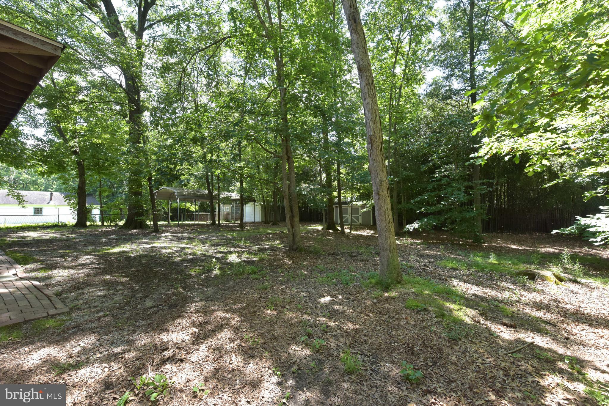 6808 Ridgeway Drive Springfield, VA 22150 - Photo 45 of 63