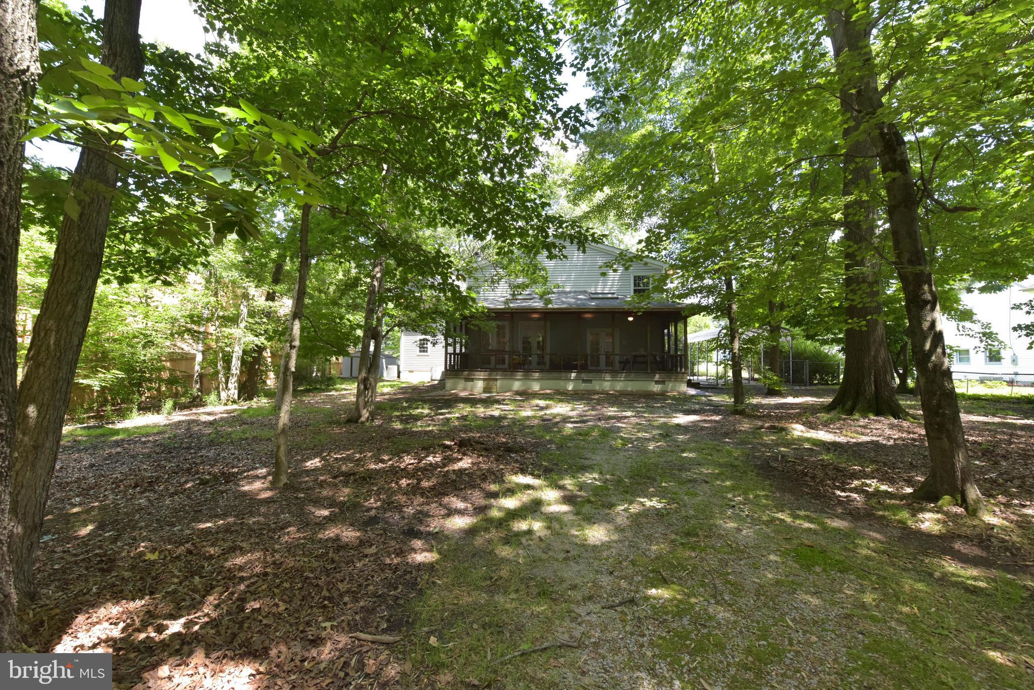 6808 Ridgeway Drive Springfield, VA 22150 - Photo 46 of 63