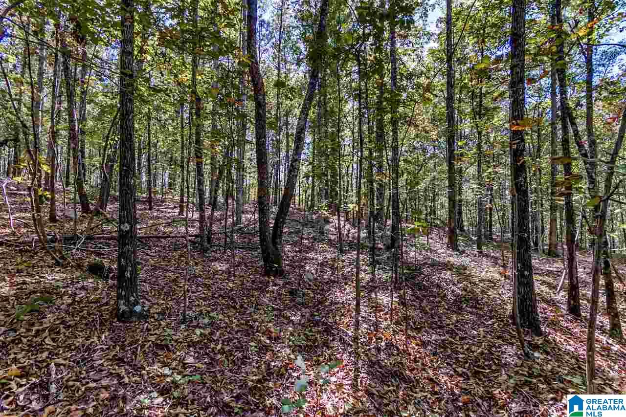 384 Wolf Pond Road, Unit 1 Talladega, AL 35160 - Photo 22 of 26