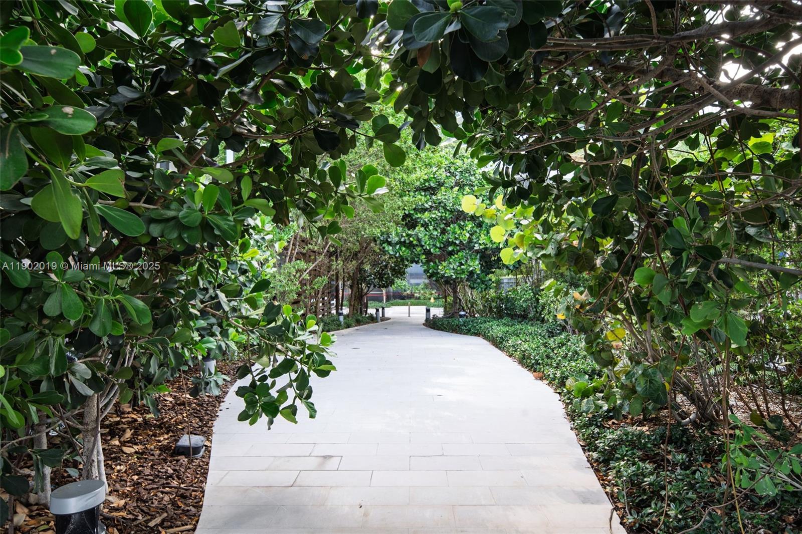 3131 Northeast 7th Avenue, Unit 2202 Miami, FL 33137 - Photo 60 of 68 a view of a garden with plants