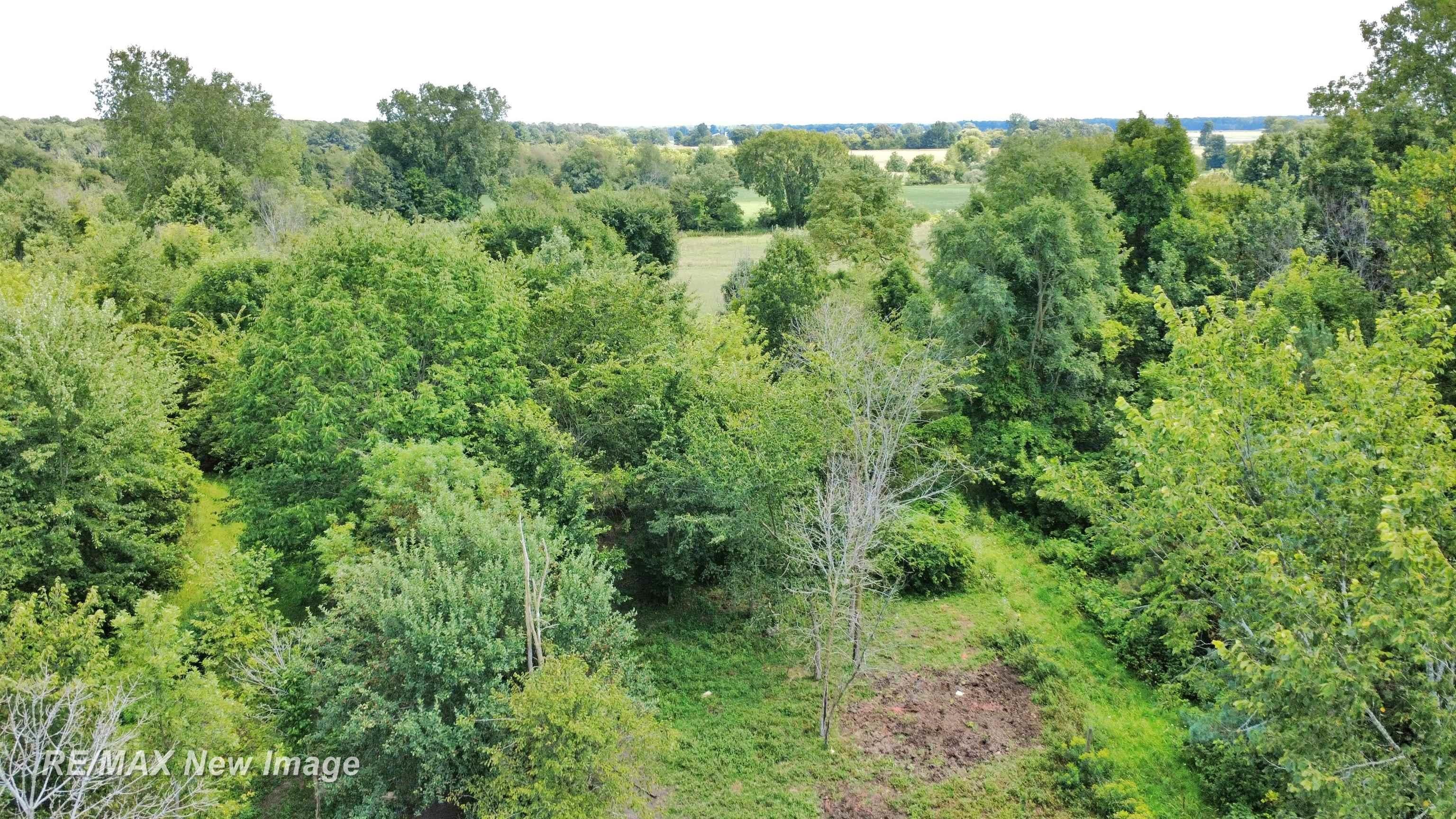 16807 Oakley Road Chesaning, MI 48616 - Photo 46 of 60 Gallery Image 46