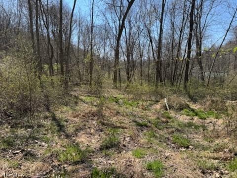 True Road Southeast Dennison, OH 44621 - Photo 5 of 9