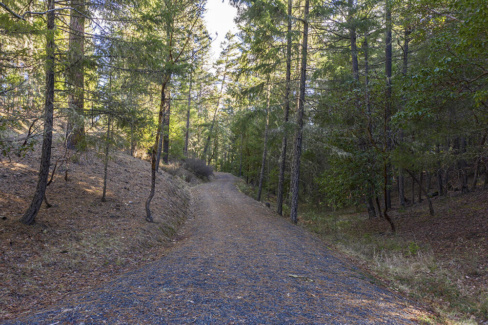 1700 Tetherow Road Williams, OR 97544 - Photo 4 of 27 4
