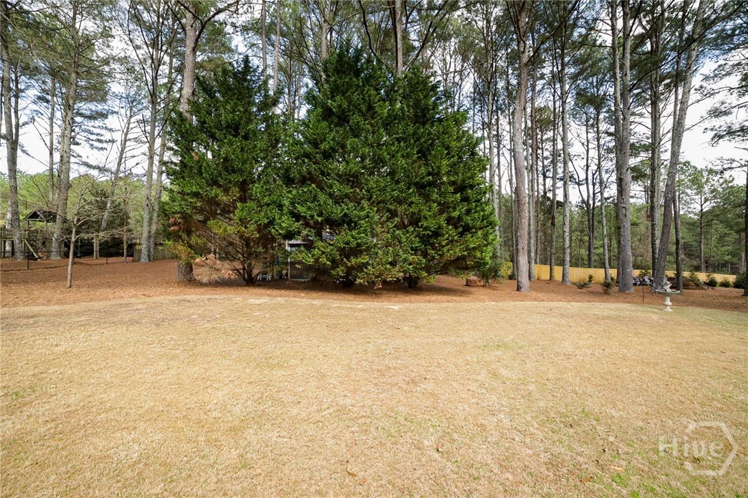 1141 Beverly Drive Athens, GA 30606 - Photo 42 of 58