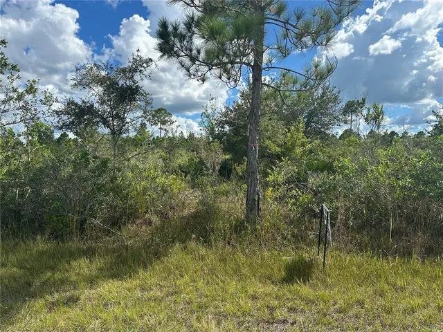 a view of a lake with a forest