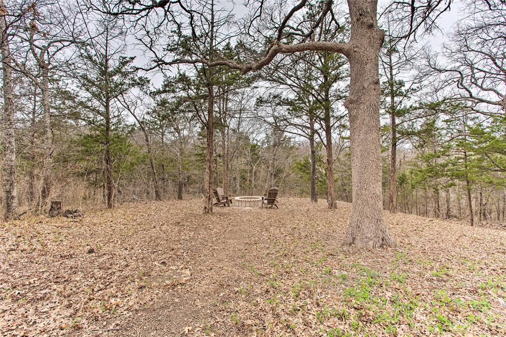 997 Tanglewood Trail Pottsboro, TX 75076 - Photo 6 of 35 View of nature featuring a wooded view