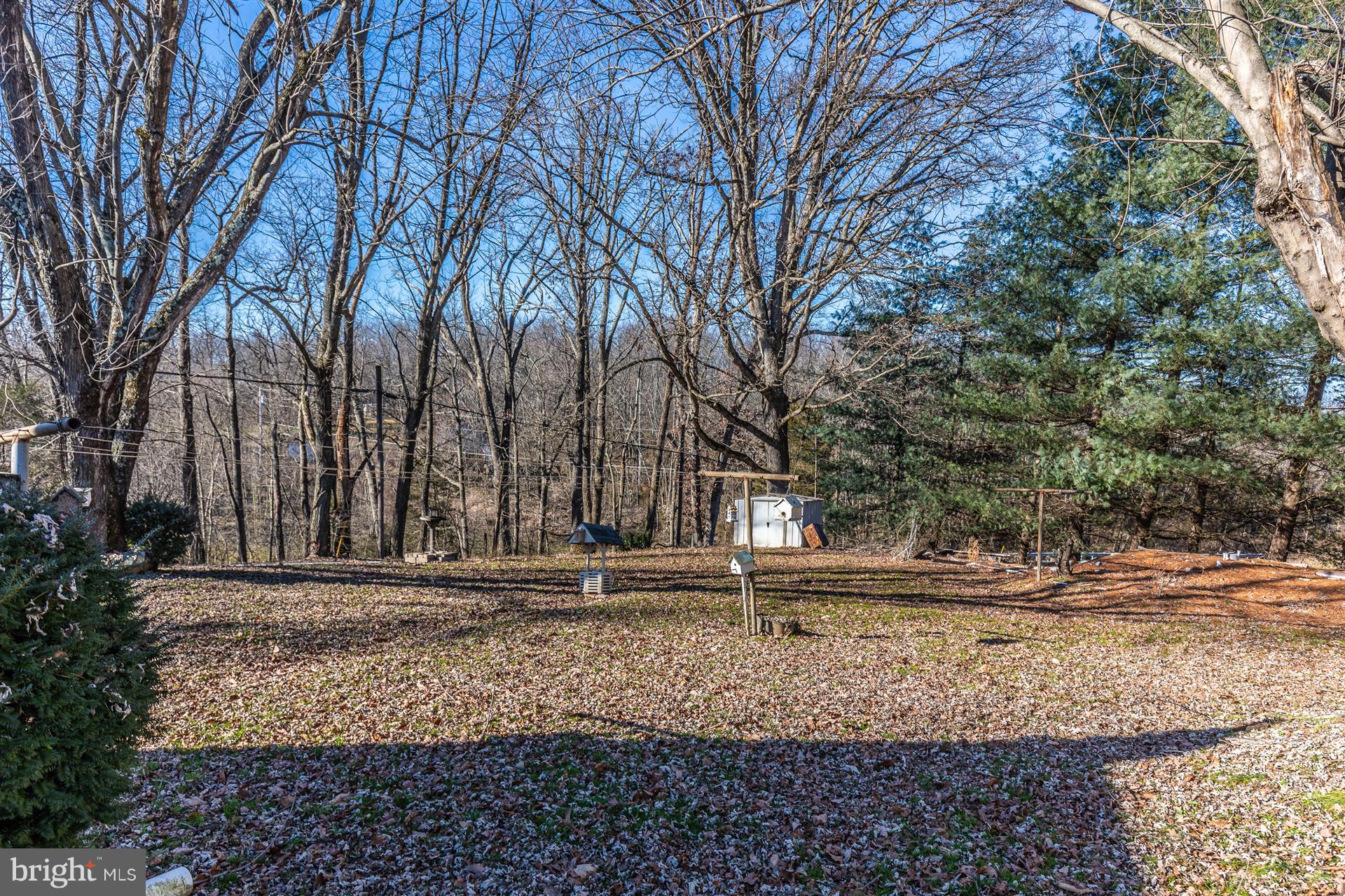 12337 Warner Road Keymar, MD 21757 - Photo 8 of 28 Backyard
