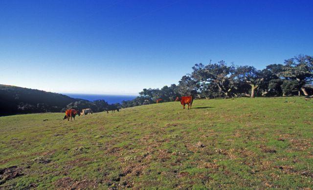 - Jalama Ranch Lompoc, CA 93436 - Photo 3 of 15 Near Cojo Boundary