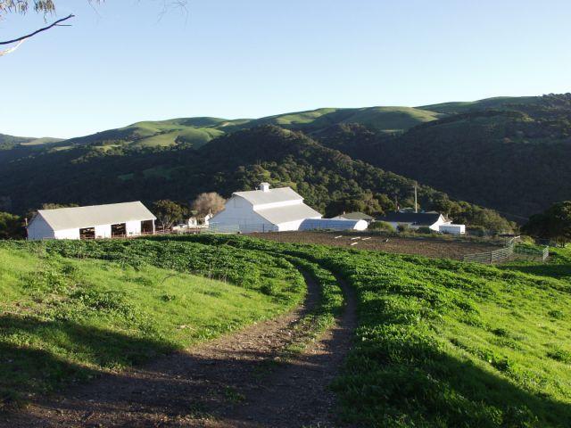 - Jalama Ranch Lompoc, CA 93436 - Photo 10 of 15 Horse Barn And Paddocks