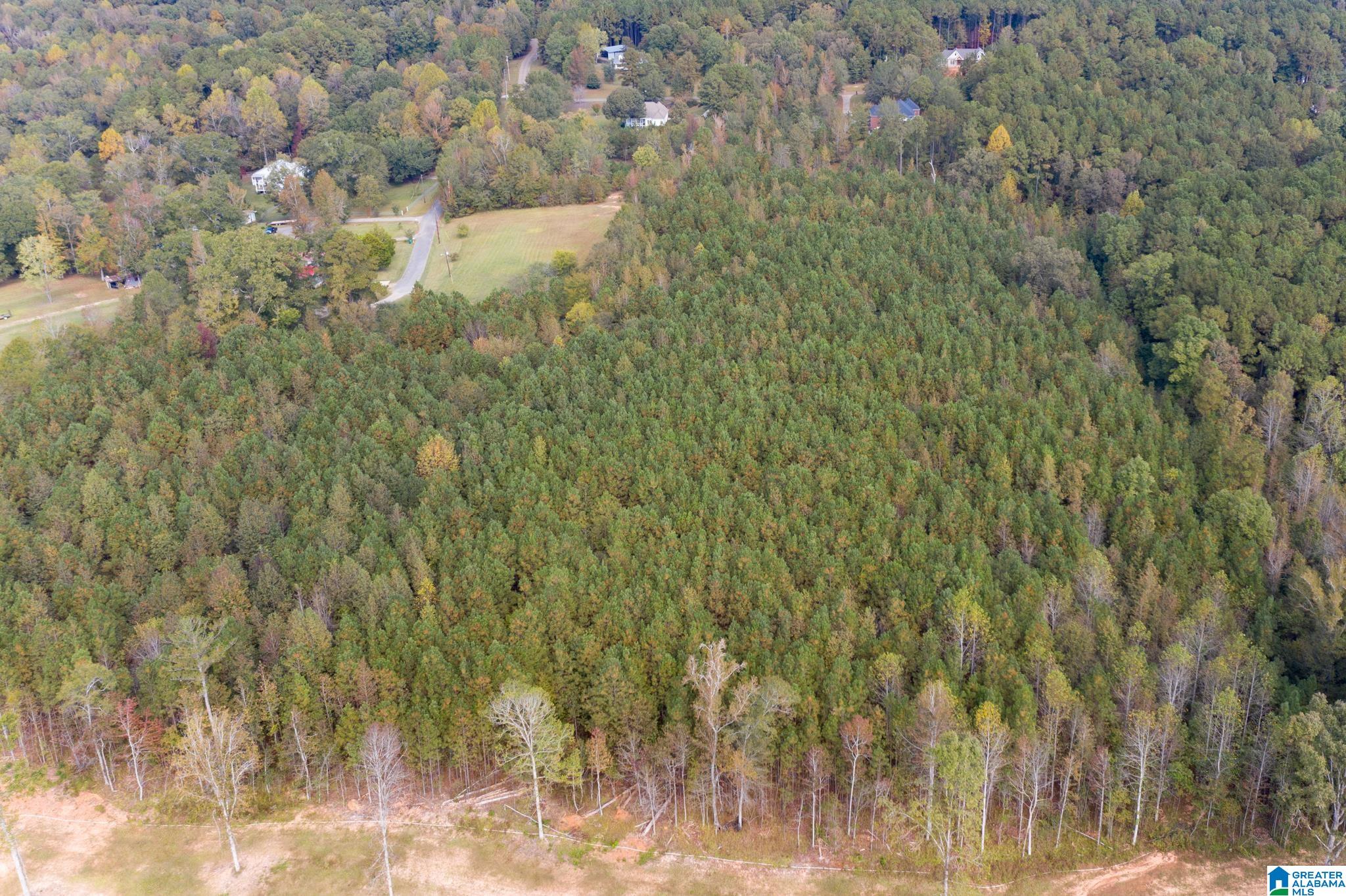 0 Olde S Spur McCalla, AL 35111 - Photo 11 of 25