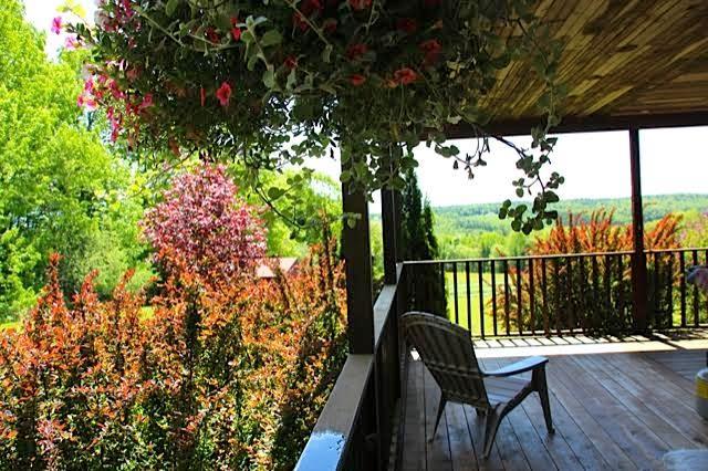 24 Frye Mountain Road Morrill, ME 04952 - Photo 9 of 35 Landscaping