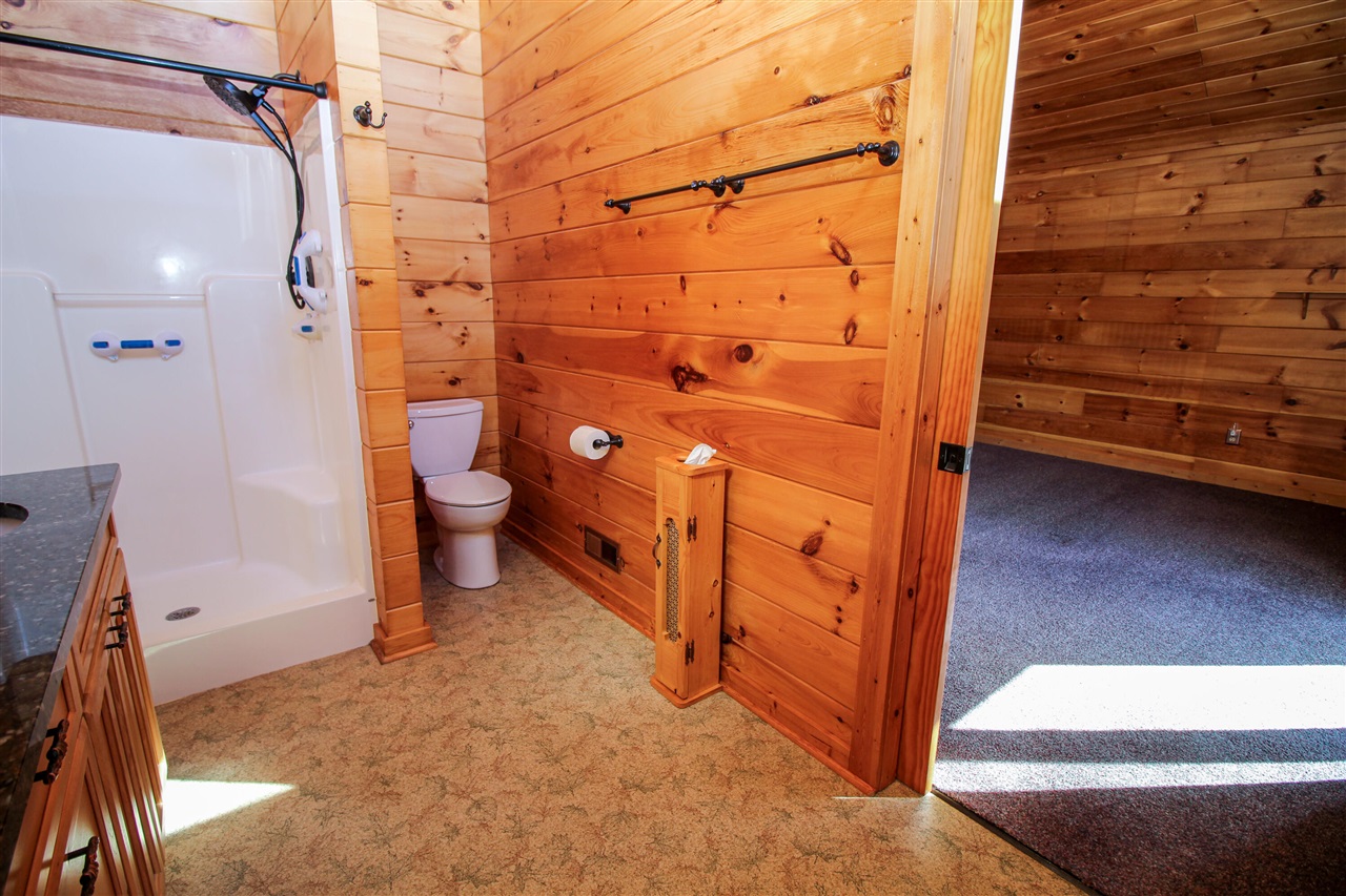 56664 Tanner Trail Three Rivers, MI 49093 - Photo 41 of 62