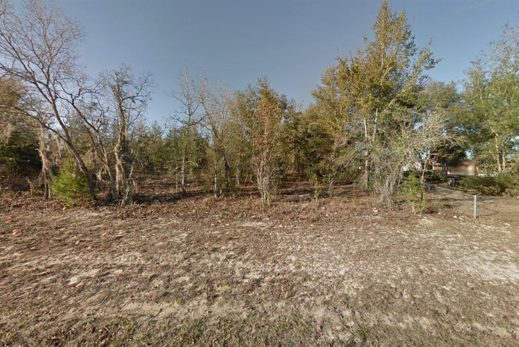 308 3rd Way Interlachen, FL 32148 - Photo 1 of 1 Gallery Image 1