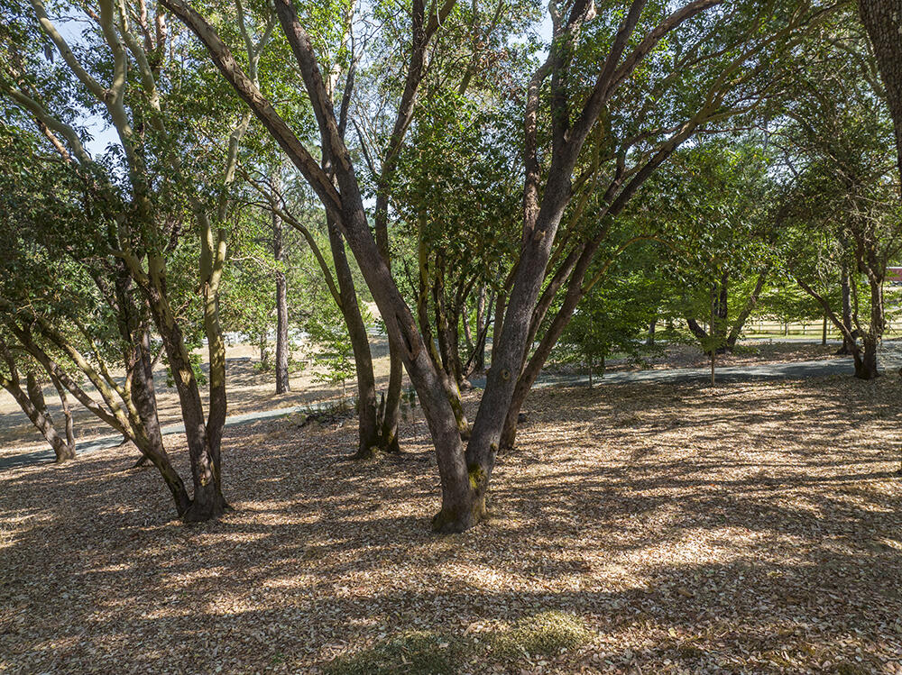 375 Oak Ranch Road Grants Pass, OR 97526 - Photo 43 of 57 a view of outdoor space and yard