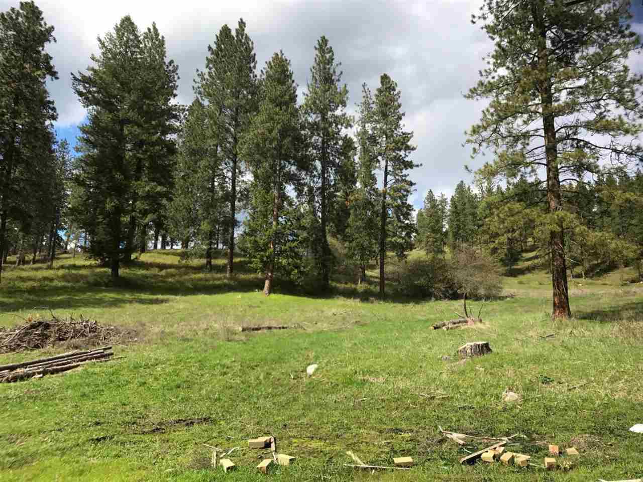 2014 Marble Valley-Basin Road Addy, WA 99101 - Photo 4 of 18