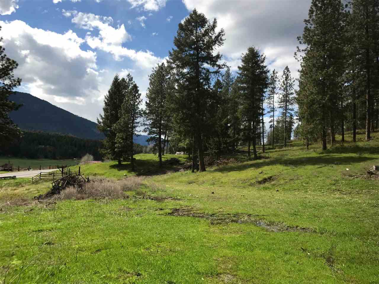 2014 Marble Valley-Basin Road Addy, WA 99101 - Photo 5 of 18
