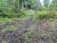 Lot D Spruce Lake Road Thompson, PA 18465 - Photo 16 of 19