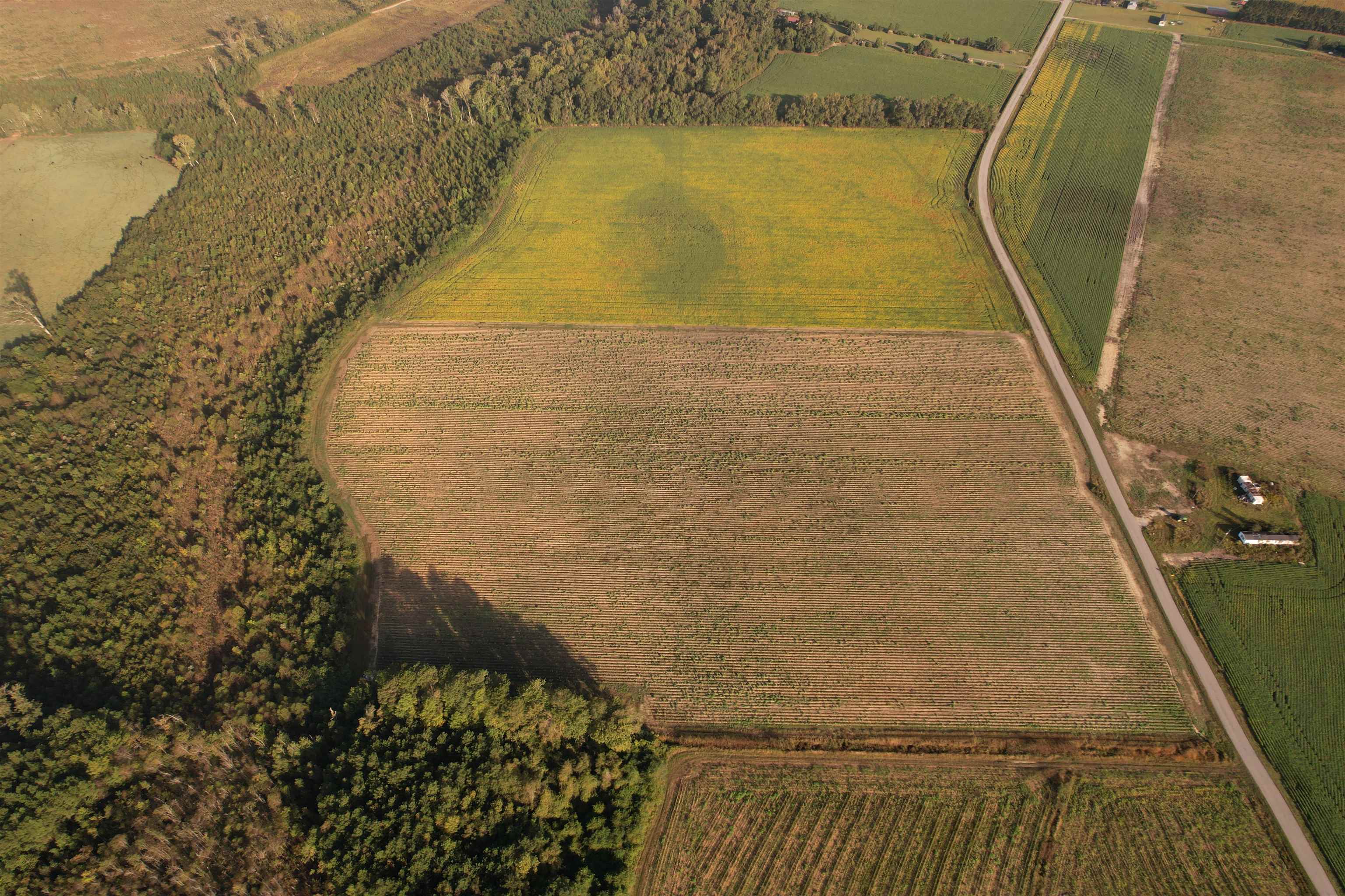 22-acres-tbd Baxley Road Hemingway, SC 29554 - Photo 3 of 20