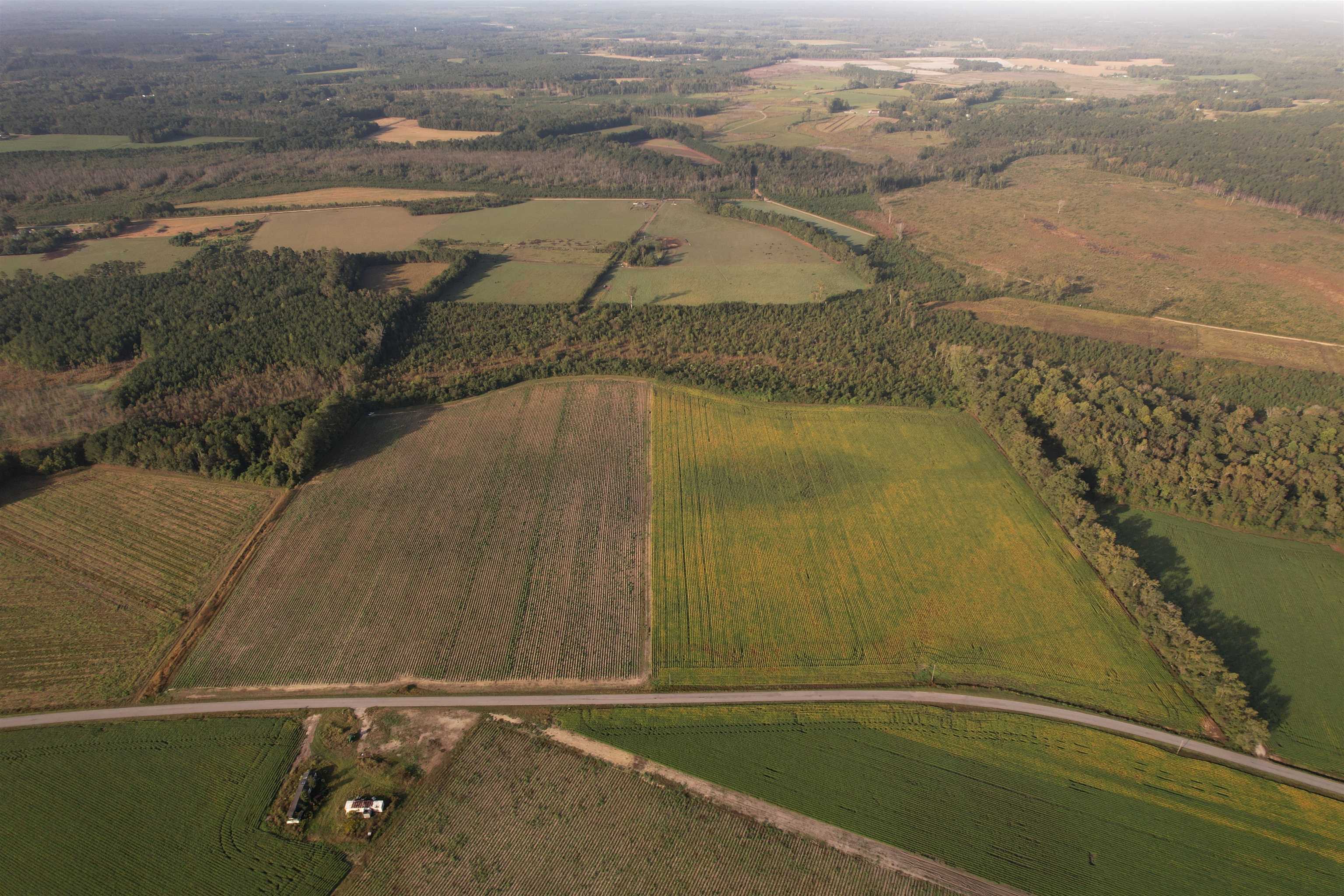 22-acres-tbd Baxley Road Hemingway, SC 29554 - Photo 4 of 20