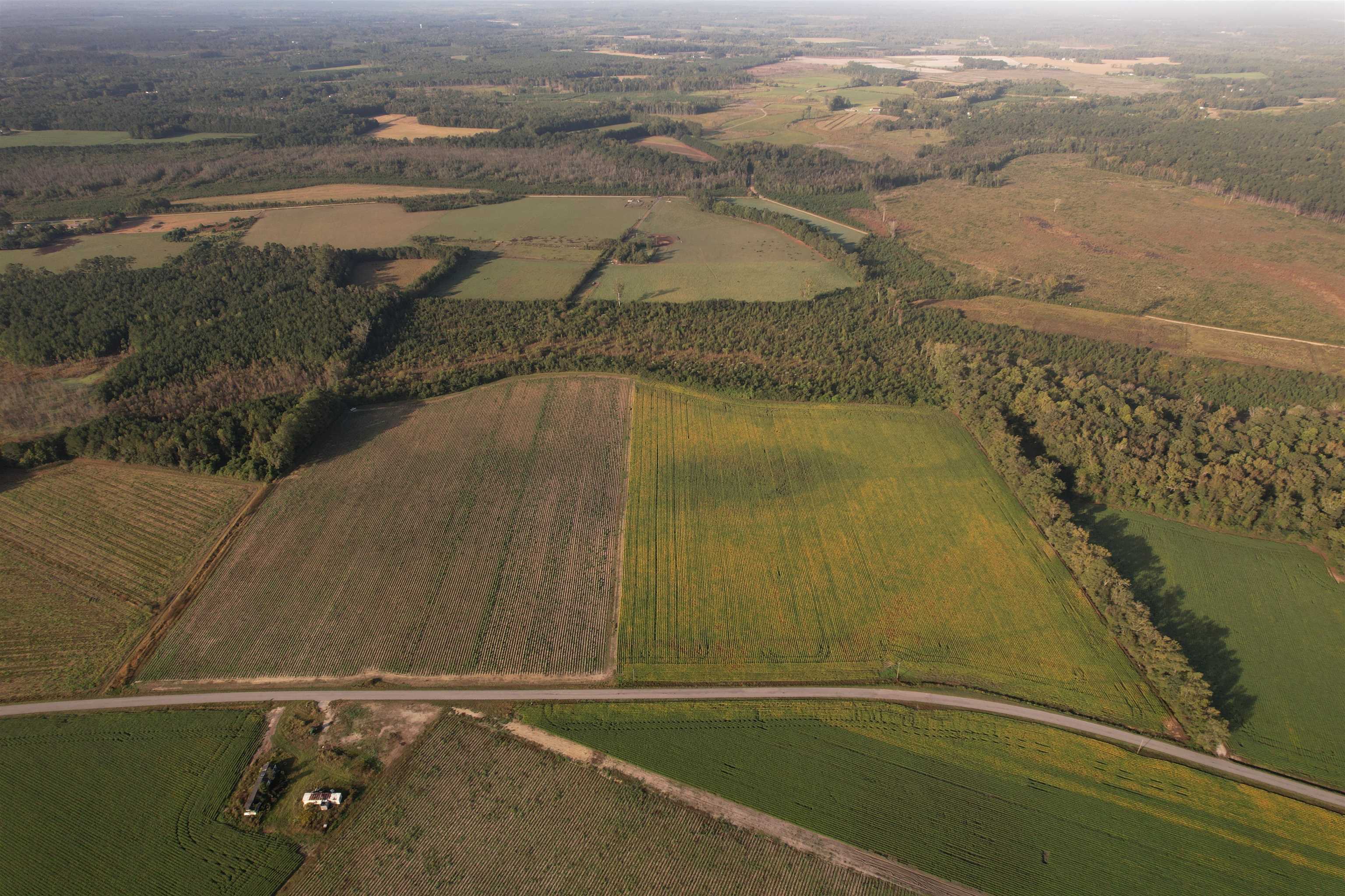 22-acres-tbd Baxley Road Hemingway, SC 29554 - Photo 5 of 20