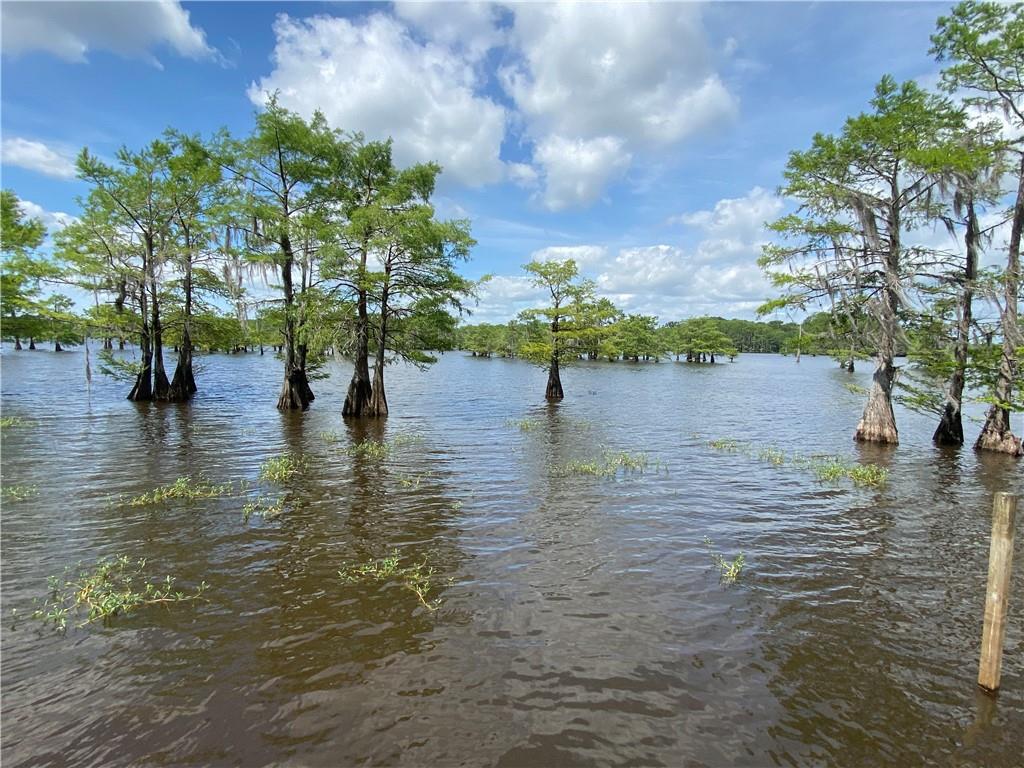 328 Pine Cove Road Goldonna, LA 71031 - Photo 11 of 12 Gallery Image 11