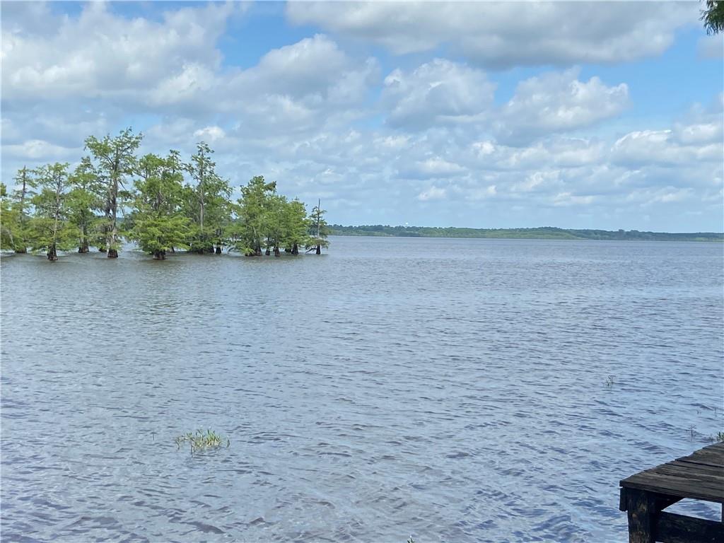 328 Pine Cove Road Goldonna, LA 71031 - Photo 10 of 12 Gallery Image 10