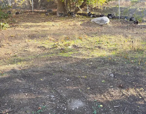 $319,000 | 860 North Elm Street, Colville, WA 99114