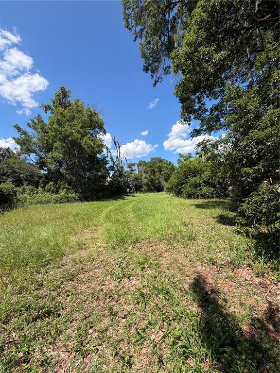 Property Location Island DeLand, FL 32724 - Photo 8 of 9 a view of a trees with a yard
