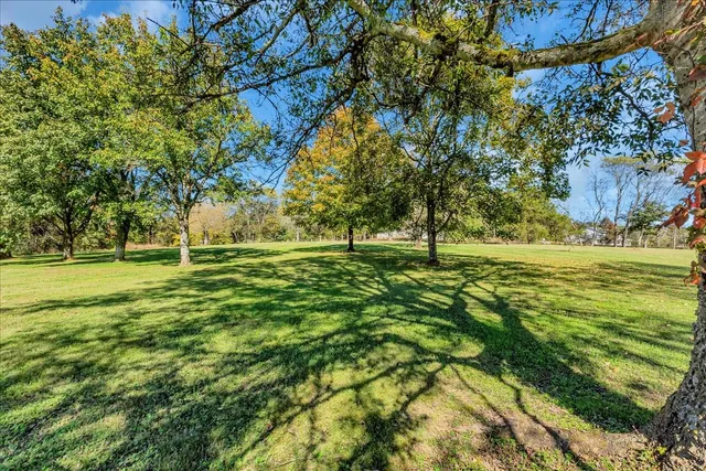 a view of a field with trees in the background