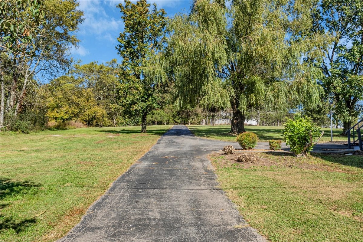487 County Line Road Lynchburg, TN 37352 - Photo 46 of 63 a view of a yard with an trees