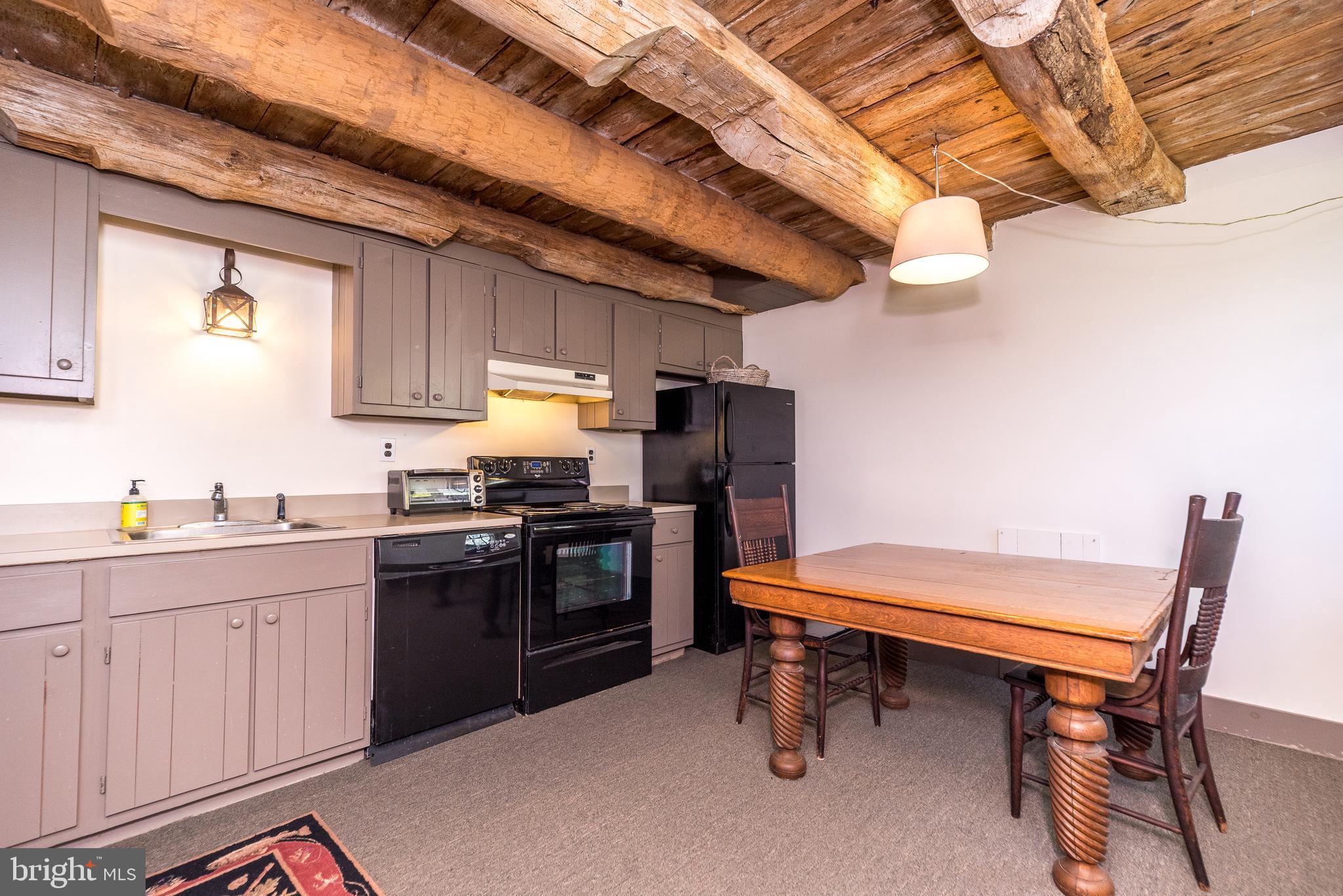 4522 New Hope Road New Hope, PA 18938 - Photo 86 of 101 Lovely kitchen in Apt. #3