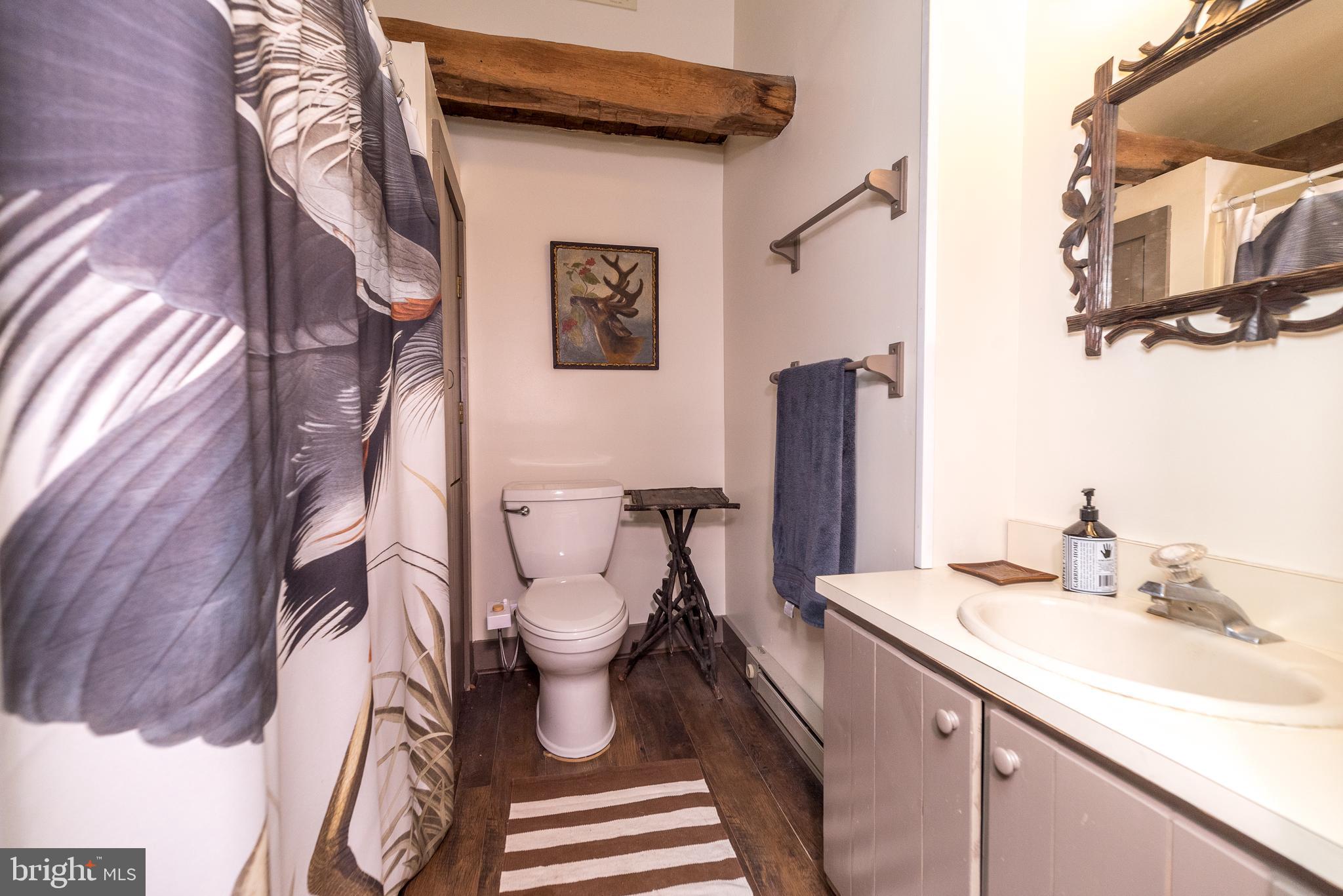 4522 New Hope Road New Hope, PA 18938 - Photo 90 of 101 Bath in Apt.#3