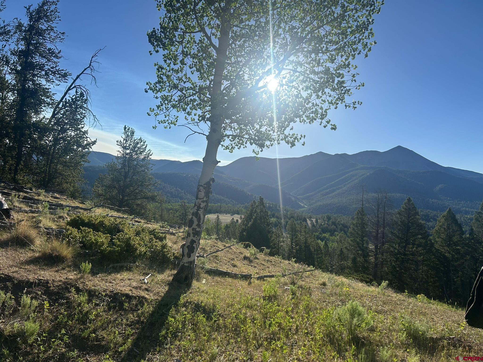 13 Bonanza Road Villa Grove, CO 81155 - Photo 9 of 36