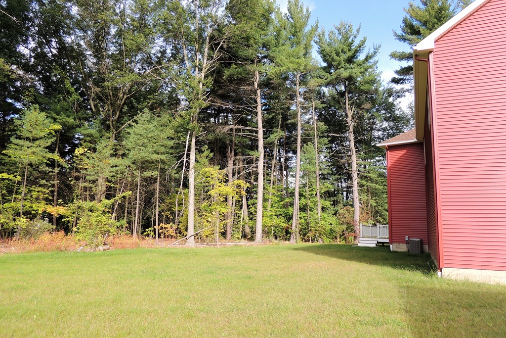 Lot 77 Alwin Place Springfield, MA 01128 - Photo 30 of 30 front view of a house with a yard