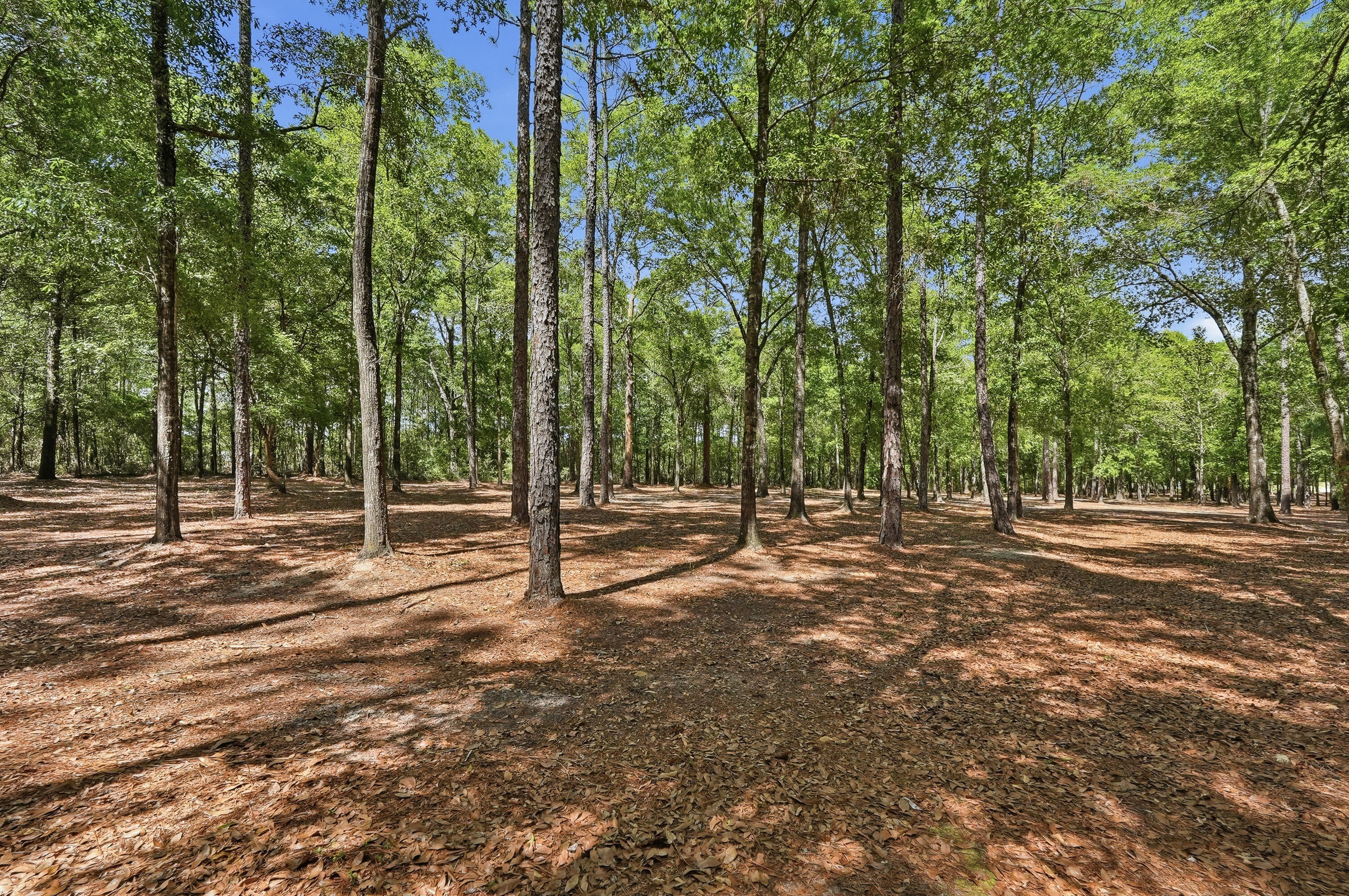 6004 Staff Road Crestview, FL 32536 - Photo 74 of 86 6004 staff rd-62