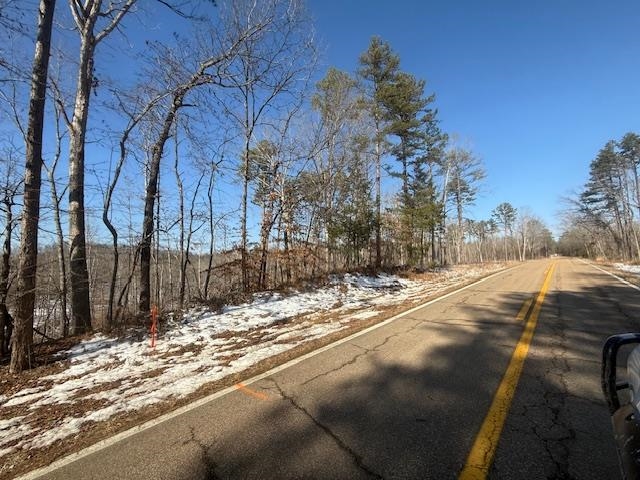 2 State Route 225 Road Henderson, TN 38340 - Photo 1 of 18 View of street