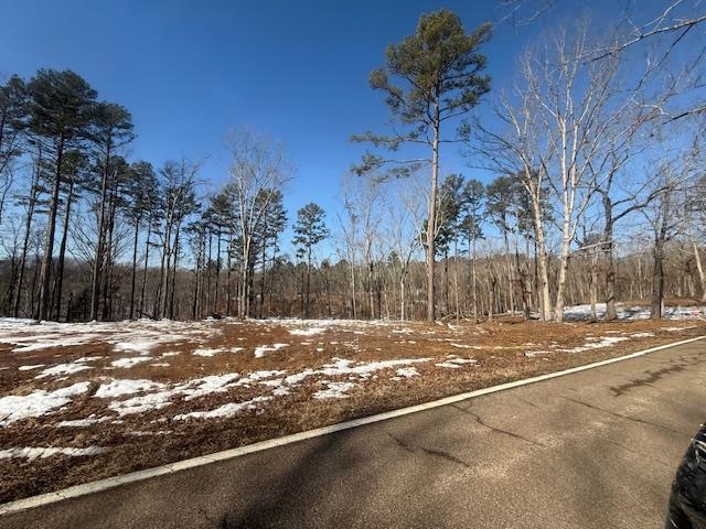2 State Route 225 Road Henderson, TN 38340 - Photo 11 of 18 View of street
