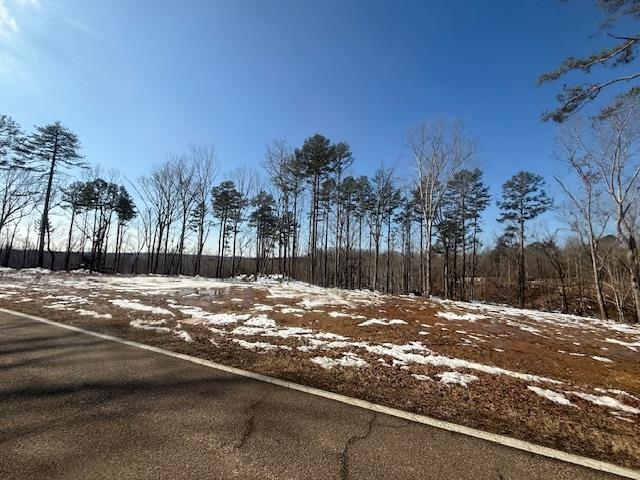 2 State Route 225 Road Henderson, TN 38340 - Photo 12 of 18 View of road