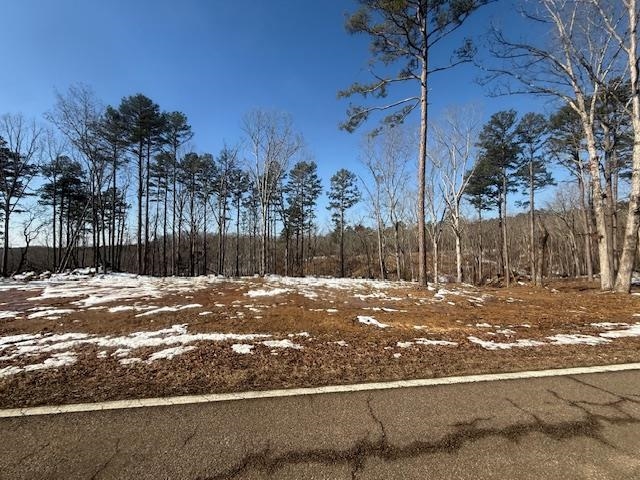 2 State Route 225 Road Henderson, TN 38340 - Photo 13 of 18 View of yard layered in snow