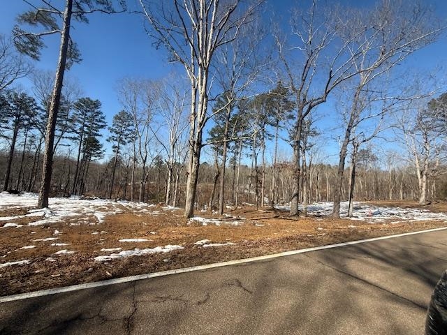 2 State Route 225 Road Henderson, TN 38340 - Photo 14 of 18 View of street