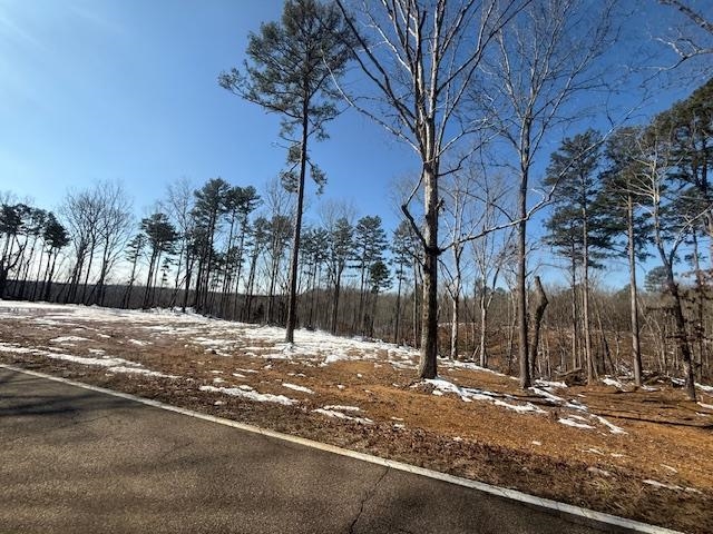 2 State Route 225 Road Henderson, TN 38340 - Photo 15 of 18 Exterior space